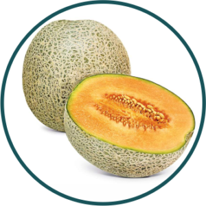 melão híbrido cantaloupe