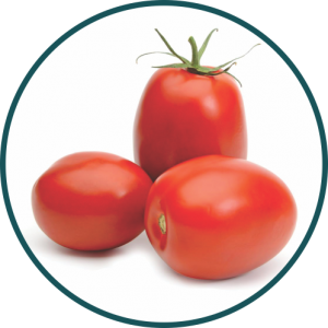 TOMATE HIBRIDO ITALIANO